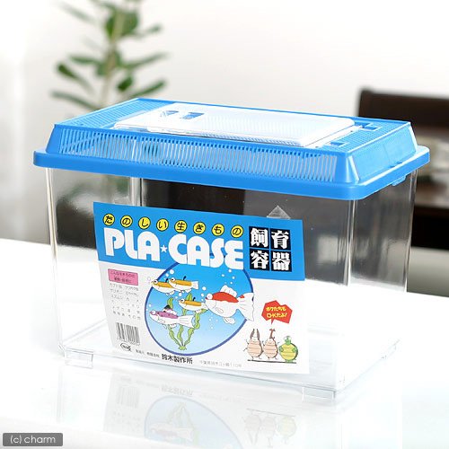 中型 青色 プラスチック 虫かご Amazon | 鈴木製作所 飼育容器 小 青（225×150×165mm